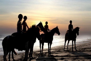 HORSE RIDING - GIANYAR